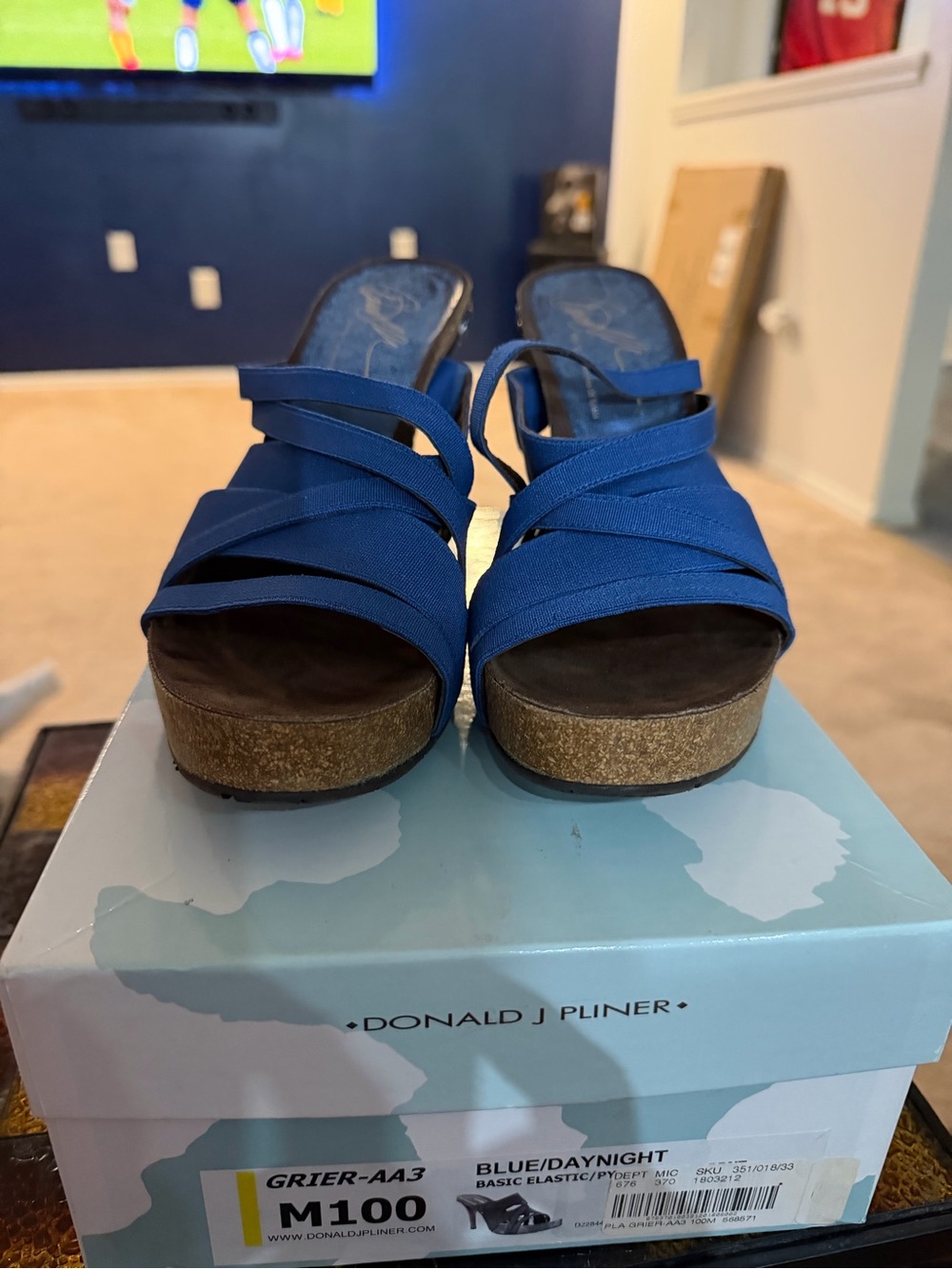 Donald J. Pliner Royal Blue Crisscross Cork Wedge Sandals